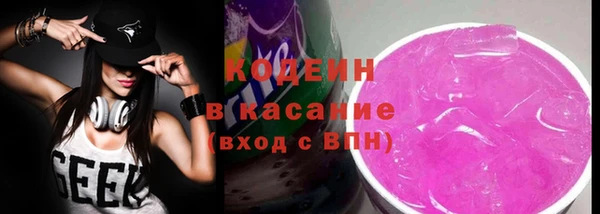 мдпв Осташков