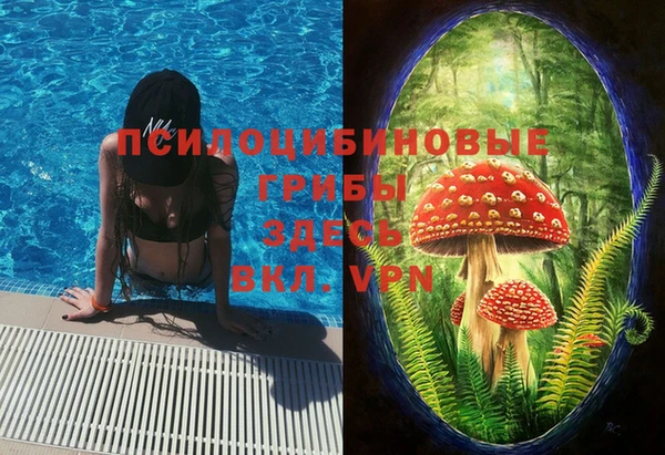 экстази Абаза