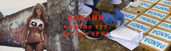 мдпв Осташков
